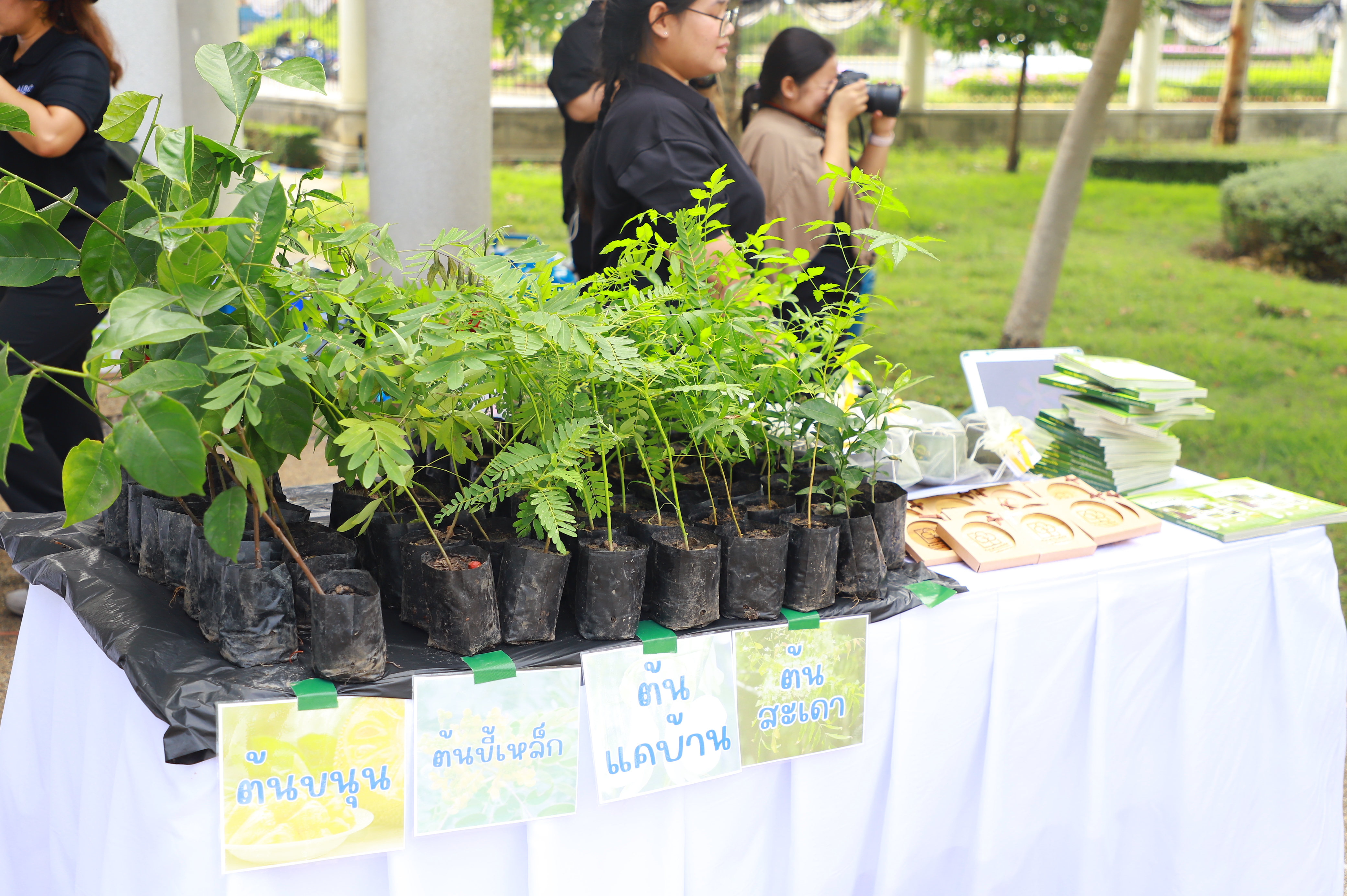 title - ส.ป.ก. จัดกิจกรรมวันต้นไม้ ประจำปีของชาติ 2569